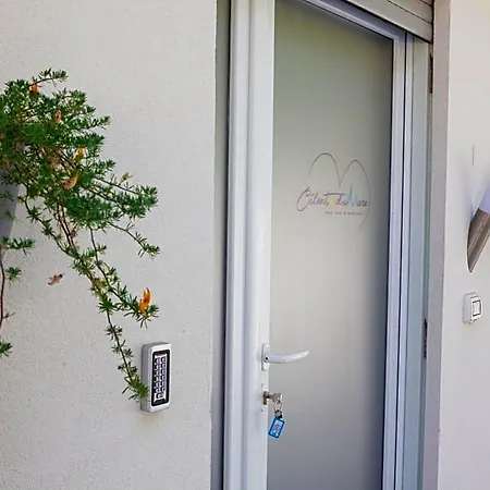 Cilento D'amare Bed & Breakfast